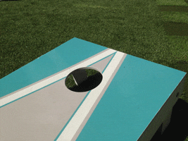 Mango Cornhole Gif