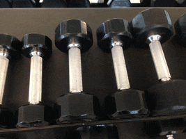 Gymweights and Mango Gif