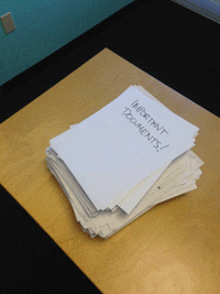 Mango Paperweight Gif