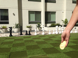 Mango Toss Gif