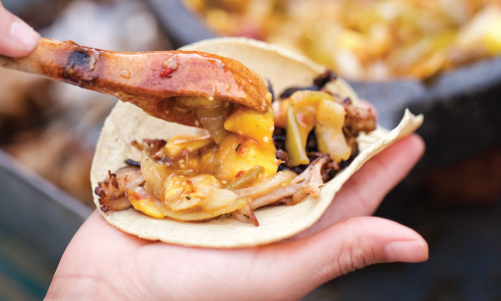 Mango Chicken Taco in Hand