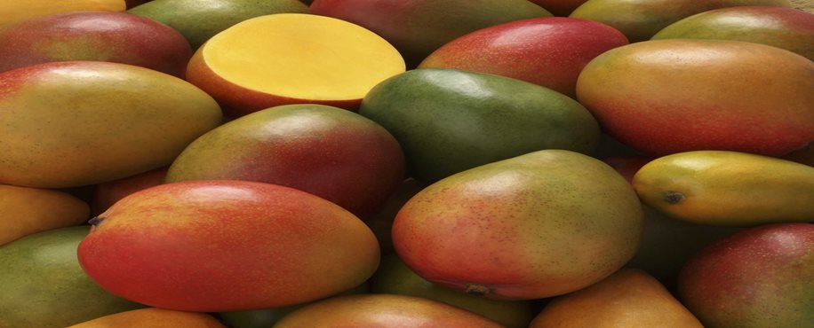 Crab and Mango Salad