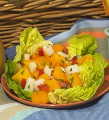 Fiesta Fresh Mango Salad