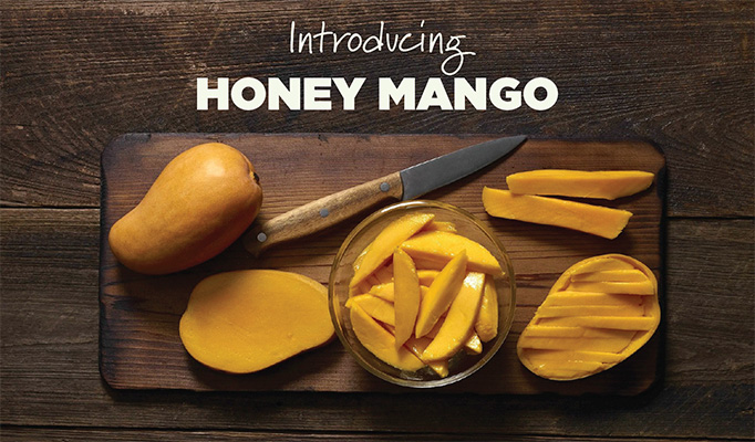 honey mango honey mango