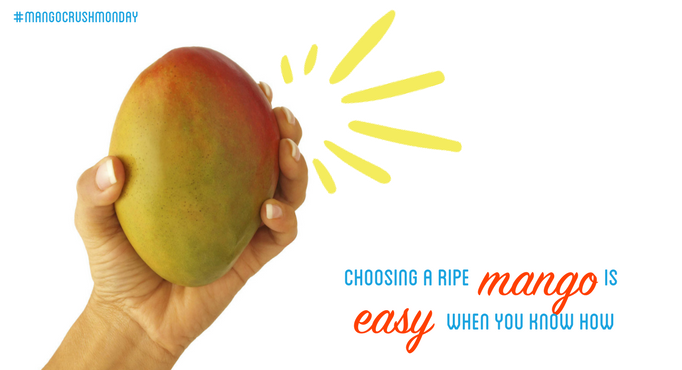 How to Pick a Ripe Mango (Visual Guide + Tips!) - Connoisseurus Veg