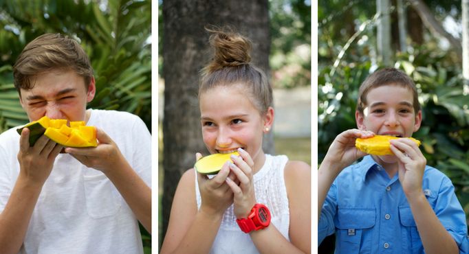 Regreso a la escuela: Recetas fáciles de refrigerios - ¡Agregue mangos a  sus refrigerios!