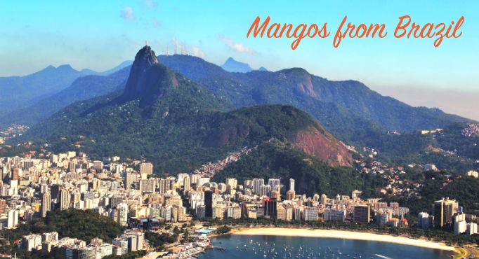 Mangos de Brasil - Pan de Azúcar y playa en Río de Janeiro, Brasil
