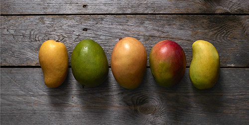  när är mango i säsong? Röda, orange, gula och gröna mango som ligger i rad på en träbakgrund