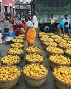 Mangos in India - woman surrounded by baskets full of mangos