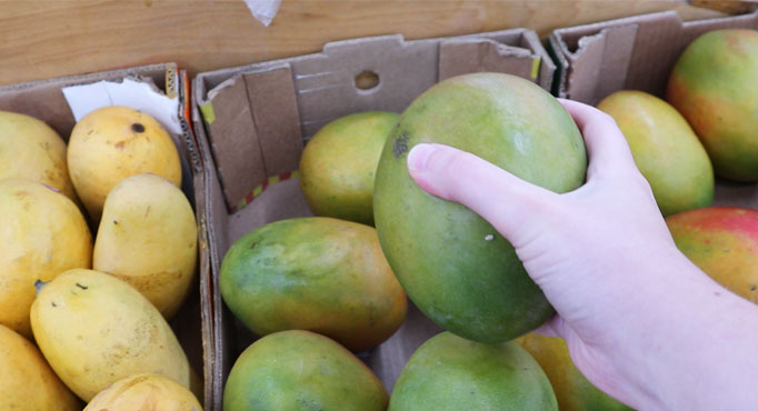 How to choose a ripe mango