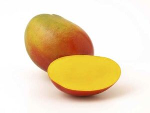 PAPAYA VS MANGO visual data 4
