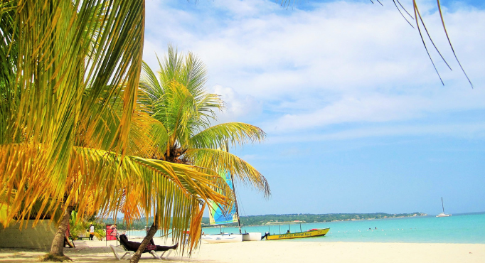 Mangos en Jamaica - Playa