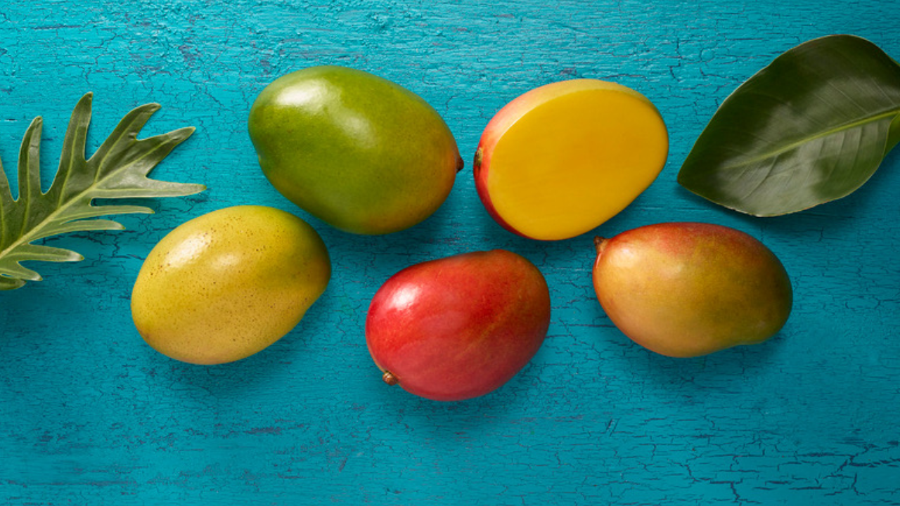 Mango 101 National Mango Board