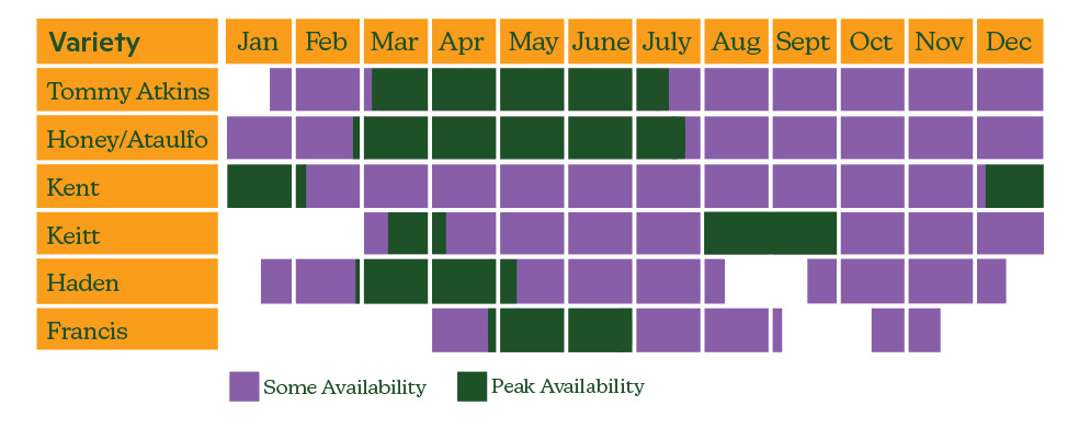 Mango-Availability-by-Variety