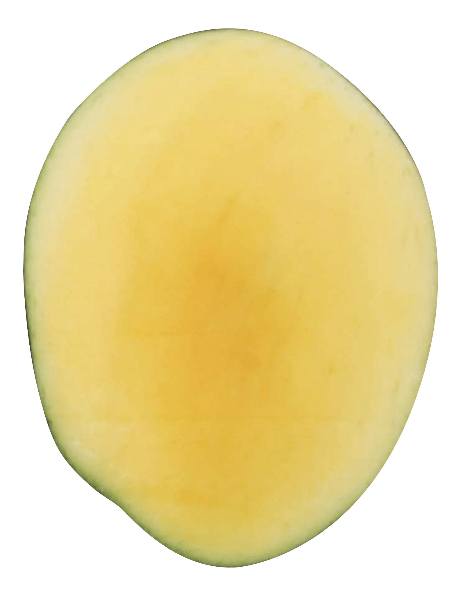 Como Se Dice Melón En Inglés Mango Foodservice - Distributors | National Mango Board