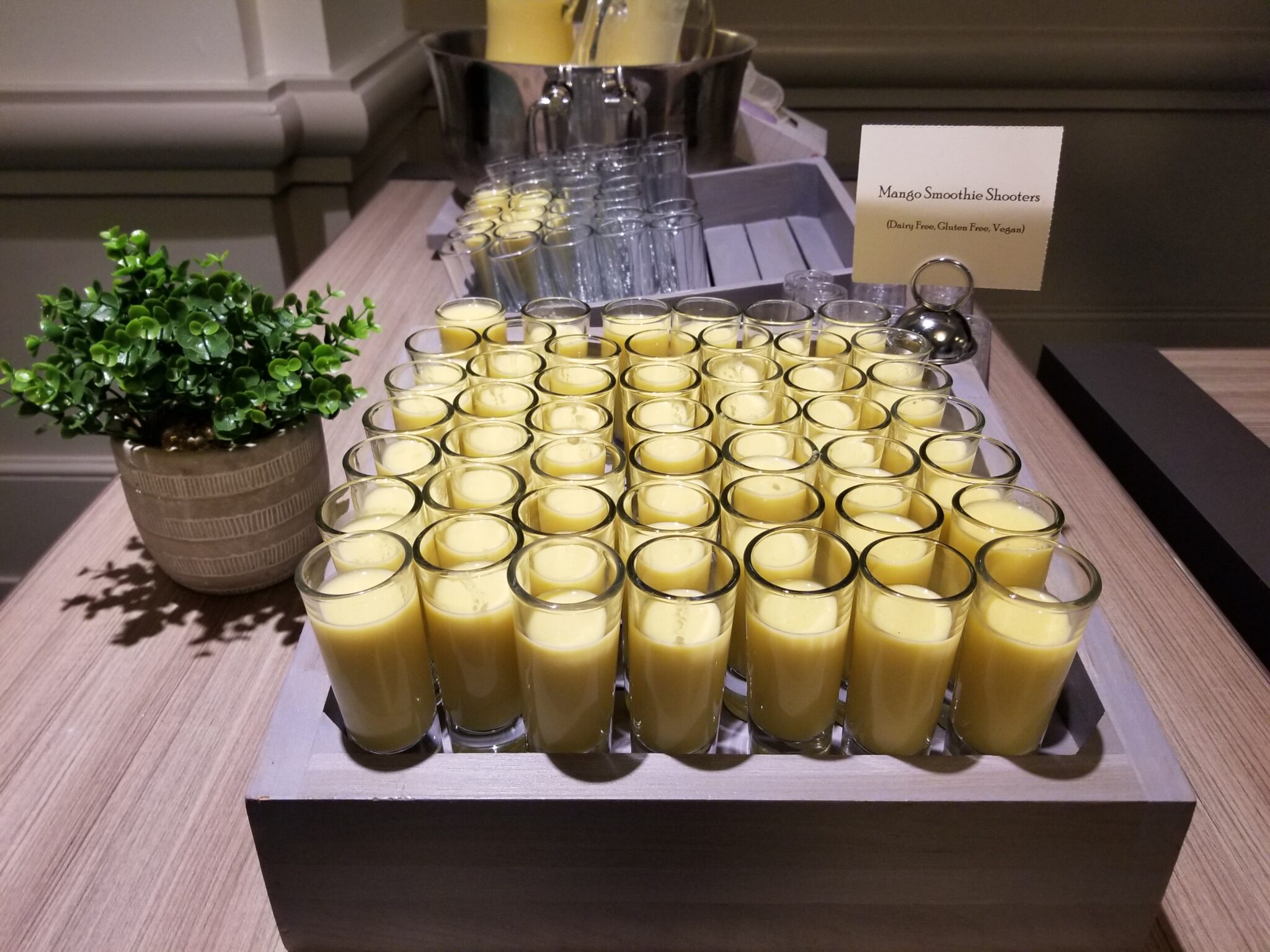 Mango Shooters