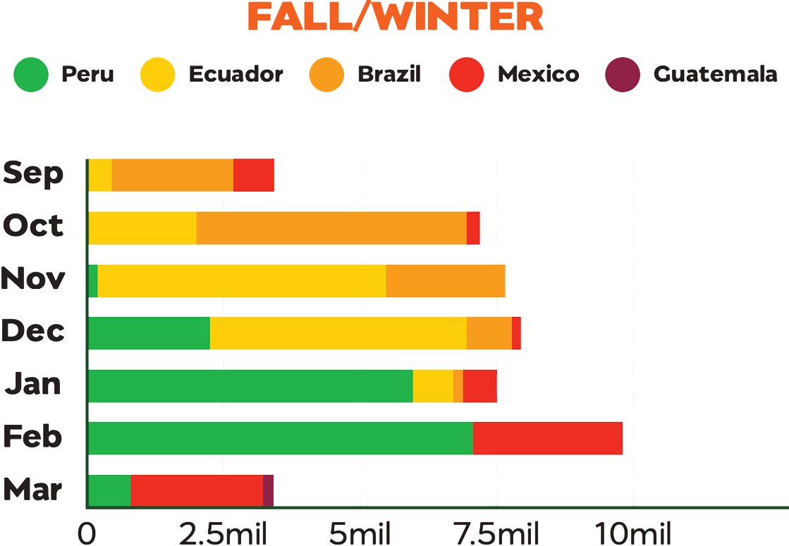 fall winter chart