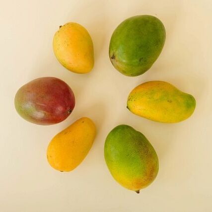 Excitement on the court is here and we’ve got a delicious line-up that you’ll want to add to your team.🏀 Which mango will win your bracket? Learn more about mango varities by clicking the link in bio! 🥭

https://www.mango.org/blog-mangomadness/

#mangomadness #mmmango #mangos #mango