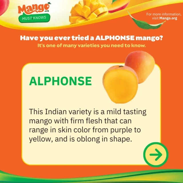 Meet the Alphonse 🥭, an Indian mango with an unmistakable oblong shape. Its firm flesh and mild flavor make it a standout, while its vibrant skin ranges from a deep purple to a sunny yellow. 

Discover your new favorite and explore all types of mangos at https://www.mango.org/mango-varieties-availability/. 

#NationalMangoBoard #Mango