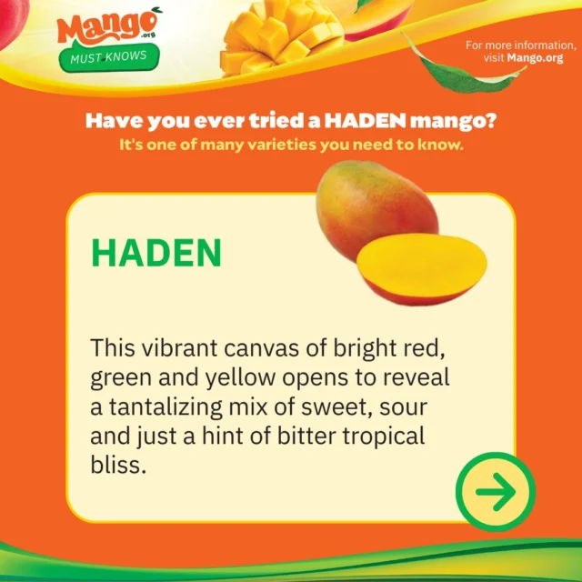 The perfect balance in a single bite. 🥭

Wrapped in a vibrant canvas of red, green, and yellow lies a tantalizing mix of sweet, sour, and just a hint of bitter tropical bliss. The Haden mango is in a league of its own.

What’s your favorite way to eat a Haden? 👇
👉 Save for your daily dose of sunshine. 

#Mango #haden #mangoboard #variety